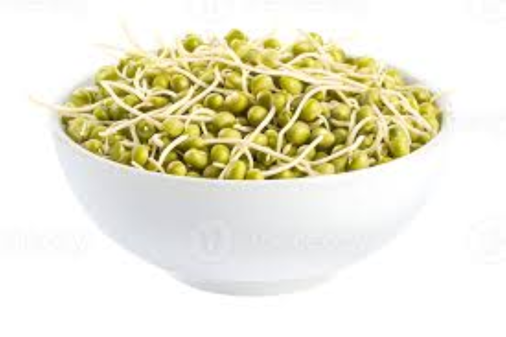 FRESH MUNG SHOOTS